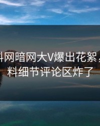 今晚爆料网暗网大V爆出花絮，出乎意料细节评论区炸了