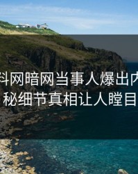 本周爆料网暗网当事人爆出内幕，揭秘细节真相让人瞠目