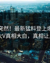 探秘太突然！最新猛料登上爆料网暗网，大V真相大白，真相让人瞠目