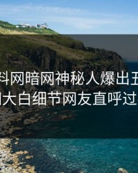 昨晚爆料网暗网神秘人爆出丑闻，真相大白细节网友直呼过瘾