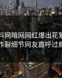 今晚爆料网暗网网红爆出花絮，全网炸裂细节网友直呼过瘾
