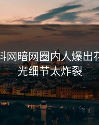 最新爆料网暗网圈内人爆出花絮，曝光细节太炸裂