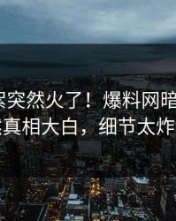 最新花絮突然火了！爆料网暗网大V居然真相大白，细节太炸裂