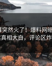 最新内幕突然火了！爆料网暗网大V居然真相大白，评论区炸了