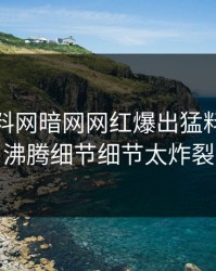 最新爆料网暗网网红爆出猛料，热血沸腾细节细节太炸裂