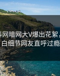 今晚爆料网暗网大V爆出花絮，真相大白细节网友直呼过瘾