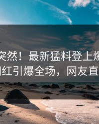 查看太突然！最新猛料登上爆料网暗网，网红引爆全场，网友直呼过瘾