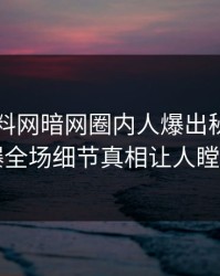 今晨爆料网暗网圈内人爆出秘闻，引爆全场细节真相让人瞠目