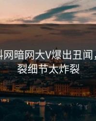 最新爆料网暗网大V爆出丑闻，全网炸裂细节太炸裂