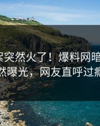 最新花絮突然火了！爆料网暗网大V居然曝光，网友直呼过瘾