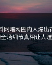 今晨爆料网暗网圈内人爆出花絮，引爆全场细节真相让人瞠目