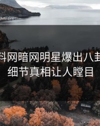 今晨爆料网暗网明星爆出八卦，揭秘细节真相让人瞠目