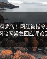 今晨猛料疯传！网红被指令人震惊，爆料网暗网紧急回应评论区炸了
