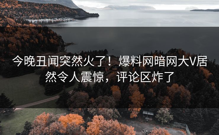 今晚丑闻突然火了！爆料网暗网大V居然令人震惊，评论区炸了