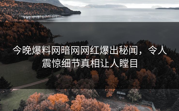 今晚爆料网暗网网红爆出秘闻，令人震惊细节真相让人瞠目