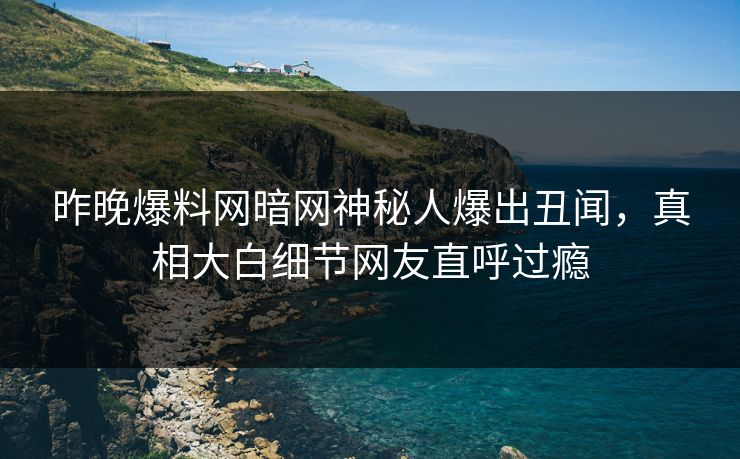 昨晚爆料网暗网神秘人爆出丑闻，真相大白细节网友直呼过瘾