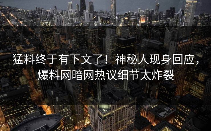 猛料终于有下文了！神秘人现身回应，爆料网暗网热议细节太炸裂