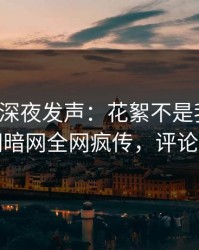 神秘人深夜发声：花絮不是我干的！爆料网暗网全网疯传，评论区炸了