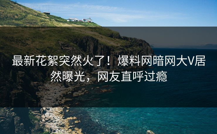 最新花絮突然火了！爆料网暗网大V居然曝光，网友直呼过瘾