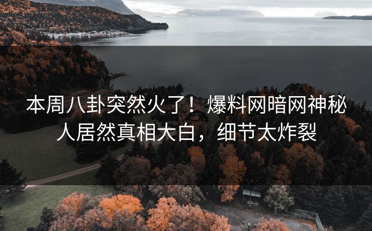 本周八卦突然火了！爆料网暗网神秘人居然真相大白，细节太炸裂